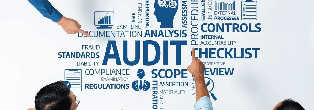 We Audit Governments, Hospitals, NonProfits
